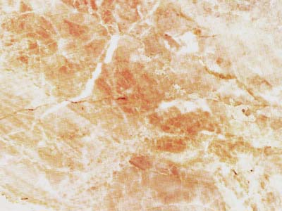 Breccia Damascata · Fotografia dall’archivio Marmi di Carrara
