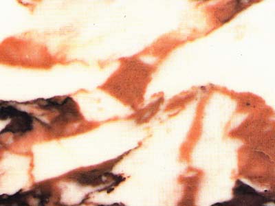 Calacatta Vagli Rosato · Fotografia dall’archivio Marmi di Carrara