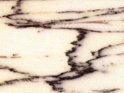 Pavonazzetto · Fotografia dall’archivio Marmi di Carrara