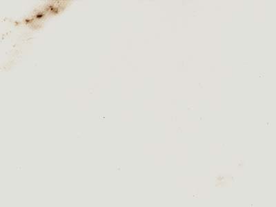 Bianco Spino · Fotografia dall’archivio Marmi di Carrara