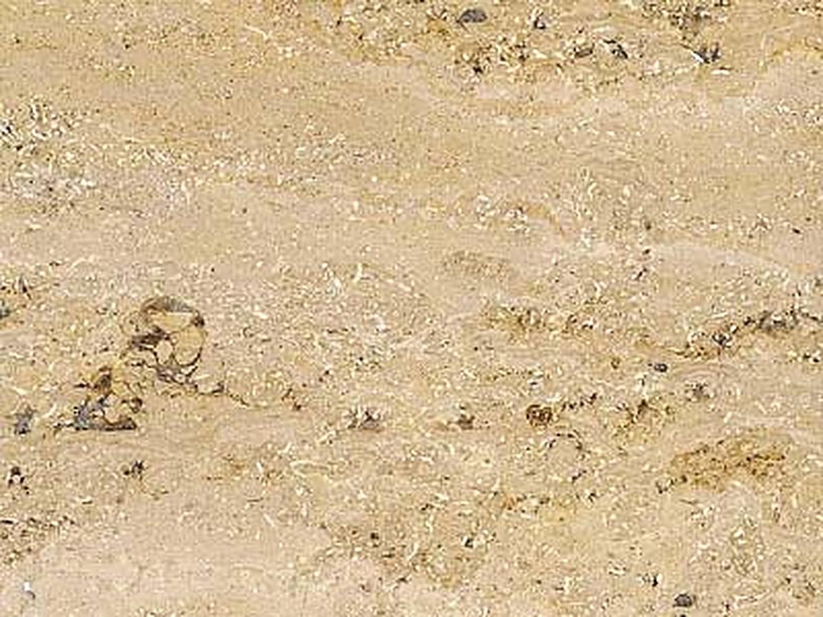 Jura Beige banded · Fotografia dall’archivio Marmi di Carrara